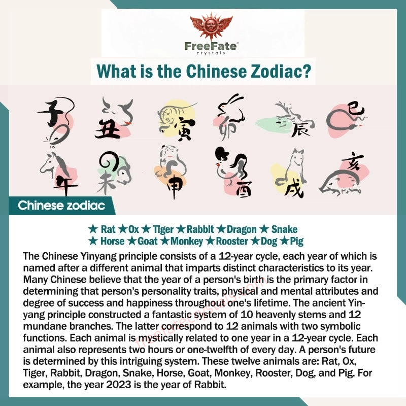 未命名图片_2025.06.21 (16).jpg